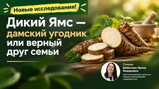 Дикий Ямс - дамский угодник или верный друг семьи. Новый взгляд на знакомый продукт