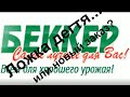 Заказ в Беккер. Ложка дегтя? или новый заказ?