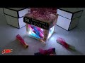 50 Reason why I LOVE You Box with Fairy light | JK Arts 1822