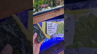 Only REAL Aquarium Fish Keepers DO This