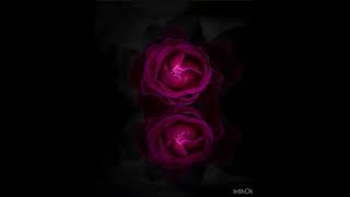 Twinflame current energy update #song in bio #download (song)