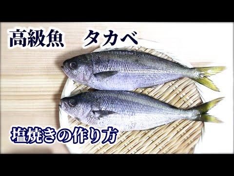 タカベの塩焼き 知る人ぞ知る 高級魚タカベの捌き方と食べ方を紹介 釣れた方是非 Youtube