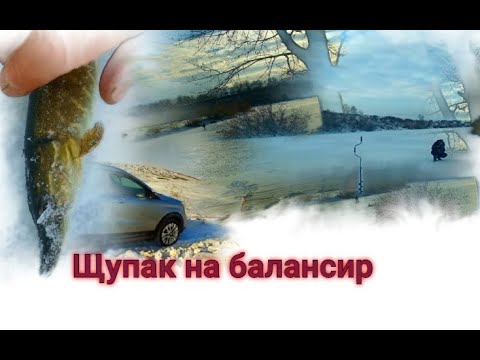 "ЩУПАК" и помощь рыбаку, о которой он еще не знает.