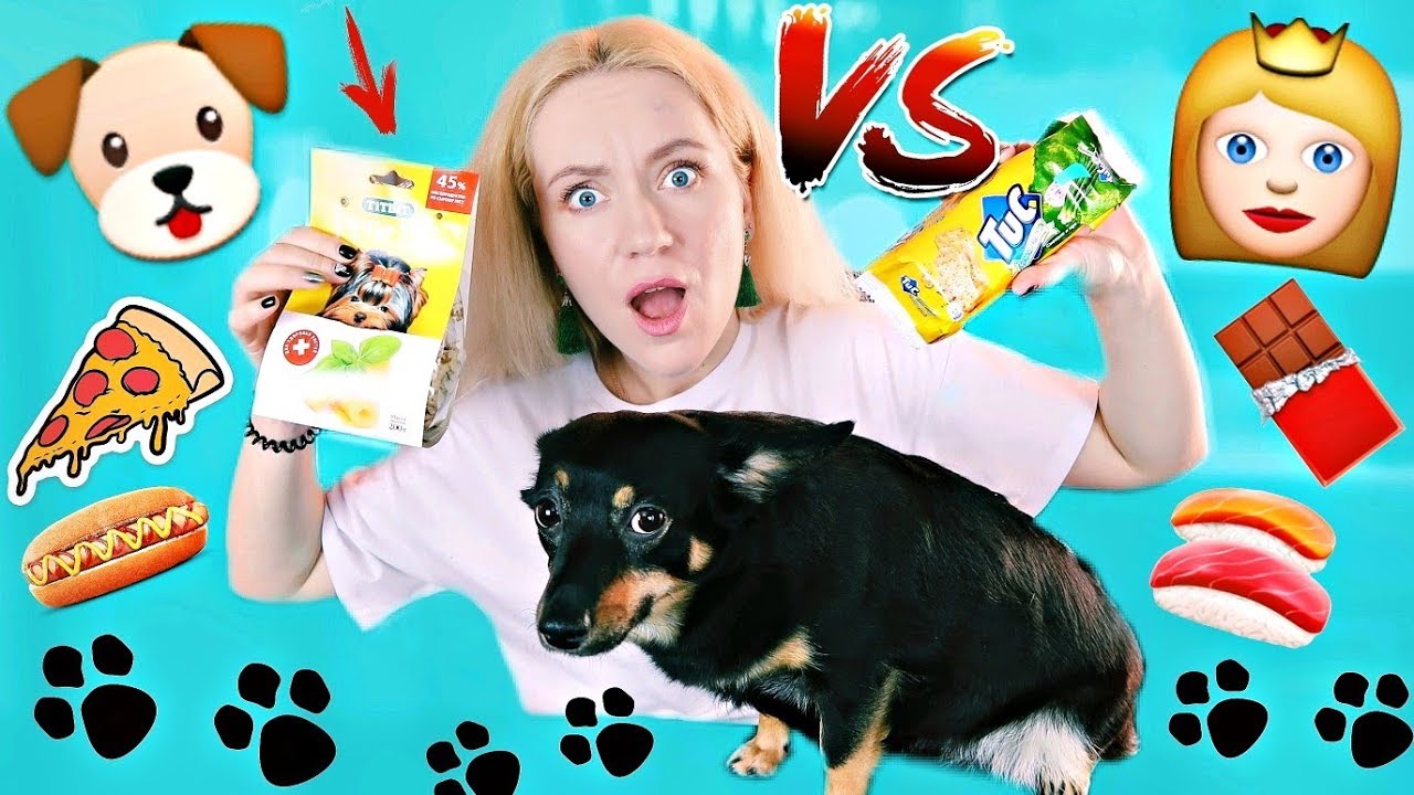 ЕДА ДЛЯ СОБАК ПРОТИВ ОБЫЧНОЙ ЕДЫ ЧЕЛЛЕНДЖ | НЕ ПОВТОРЯТЬ! PET FOOD VS REAL FOOD CHALLENGE DOG FOOD