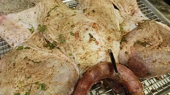 899 ThermoPro Temp Spike Wireless Meat Thermometer How To Temperature Probe a Spatchcock Turkey Revi