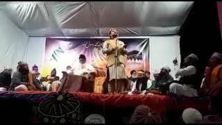 Hasnain Ka Nana Aa gaya...by Syed Shajar Ali Madari Waqari Hanafi...( Halol )
