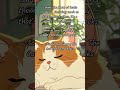 Staying at home is the real comfort #GhibliAesthetic #CozyVibes #bookquotes