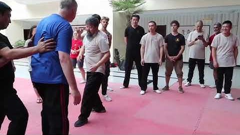 30th Daqingshan Practical Method Seminar by Chen Zhonghua