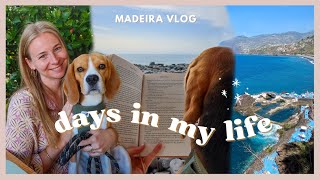 Life in MADEIRA (Vlog) | Sunday morning stroll in FUNCHAL, Slow Living ✨ (real life, non touristy)