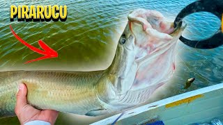 O ATAQUE DESSE MONTRO É ASSUSTADOR! | PESCARIA NO FORMOSO DO ARAGUAIA by ALIEN FISHING 63 views 3 months ago 6 minutes, 15 seconds