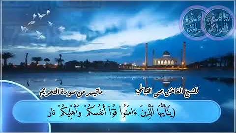 ماتيسر من سورة التحريم للشيخ الفاضل يحيى القباطي حفظه الله ورعاه