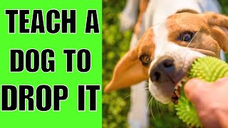 How To TEACH A Dog To DROP IT (QUICKLY)