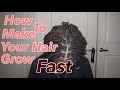 How to Grow Your Dreadlocks Fast | Hair Growth Tips |