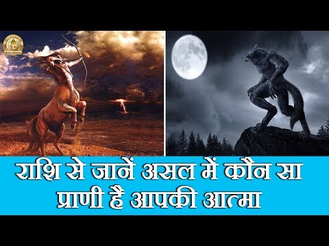 वीडियो: आपकी आत्मा साथी कौन सी राशि है?