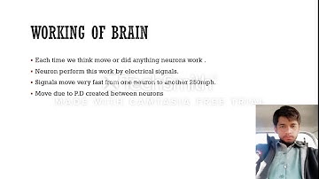 Brain computer interface