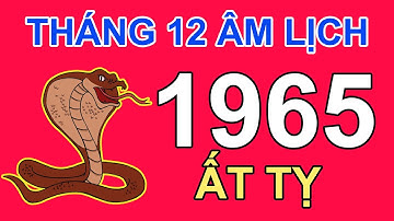 Tử Vi Tuổi Ất Tỵ 1965 Trong tháng 12 năm 2023 Âm lịch quý Mão | Triệu Phú Tử Vi