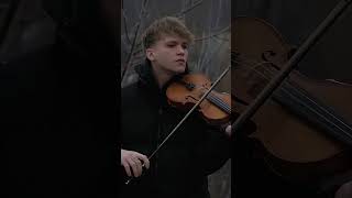 Mockingbird - violin - zotov