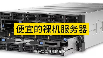 揭开实惠性能的秘密：在Raksmart获取经济实惠的裸金属服务器