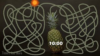 10 Minute Timer Bomb 💣 Pineapple 🍍