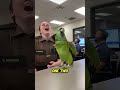 The Parrot Roasts the Cop in the Most#shortvideo#youtub#