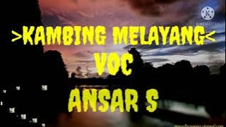 KAMBING MELAYANG VOC. ANSAR S