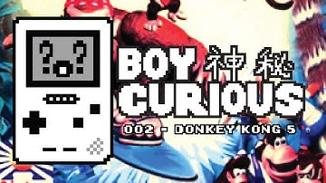 Boy Curious - Donkey Kong 5 Bootleg