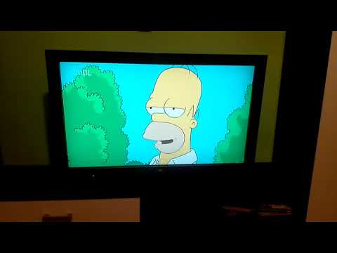 Simpsonovi mac. tinus.