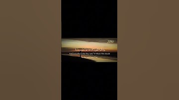 تلاوة مباركة خاشعة بصوت يلامس القلوب #اكسبلور #المصحف #حالات_واتس #القران #راحة_نفسية #لايك #خطبه