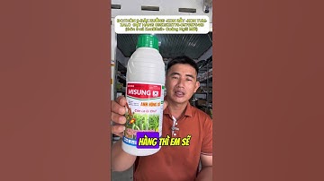 Giải pháp trừ cỏ cho quế: bí quyết từ Trần Văn Hảo