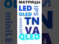 Какой тип матрицы выбрать? Чем отличаются дисплеи с LED, OLED, IPS, TN, VA?