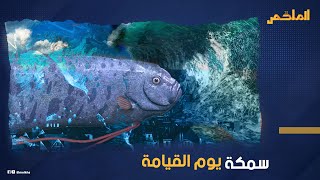 ظهورها مرتبط بحدوث الزلازل  ..كيف رصد غواصون سمكة 