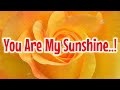 Love message   you are my sunshine  love messages 