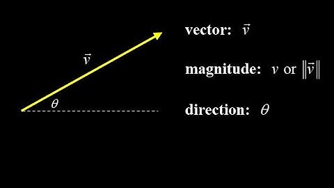 Physics vector introduction and geometric vector addition + commutativity, colinear vector addition.