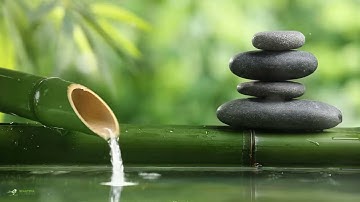 Tiếng Piano nhẹ nhàng và tiếng nước chảy róc rách dễ chịu - Nhạc không lời thư giãn