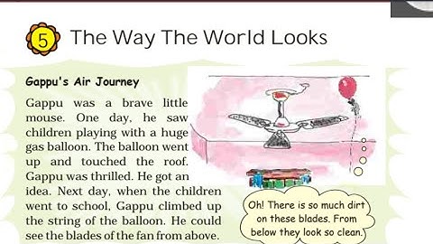 Class 4 | Maths | Chapter 5 | The way the World looks