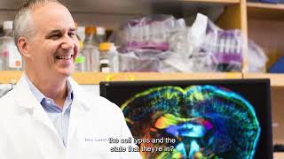 Autism BrainNet  Advancing research through the gift of brain donation