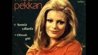 Ajda Pekkan - Sensiz Yıllarda (1970) chords