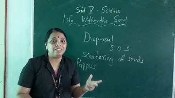 Class 5 Science Chapter 4 - Life Within the Seed (Part 2)