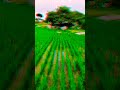 விவசாயம் பழகு 🤗