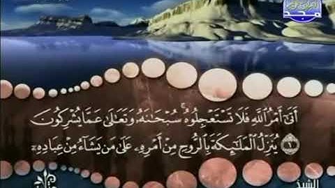 سورة النحل، المنشاوى، ترتيل، بدون اعلانات.