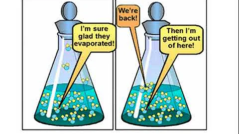 Vapor Pressure (AP Chemistry Section 11.5)