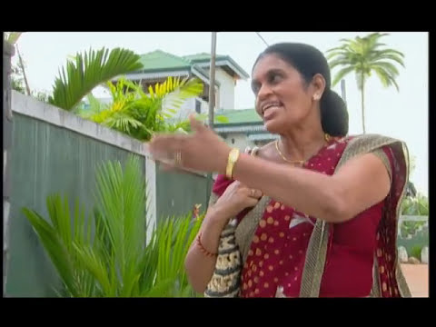 Manjula Ranganath / Sri Lanka Insurance Home Protection Tv Commercial - 2006