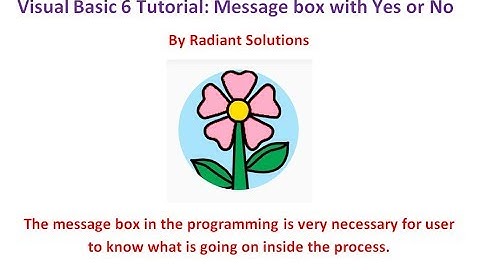 Visual Basic 6 Tutorial: Message box with Yes or No