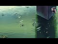 wherever you are without music _ و حيث تكون بدون موسيقى mp3
