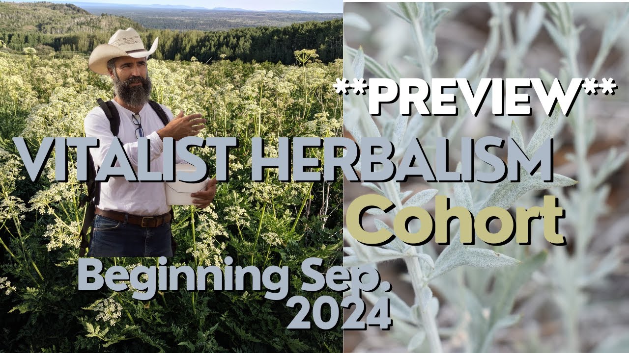 2024-25 Vitalist Herbalism Cohort Preview