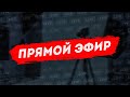 Обсуждаем "Льва против" и других активистов