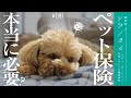 【ペット保険】加入する前に!知らないと損するペット保険の真実【獣医師ツジノボル】