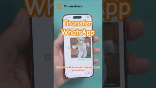 Transfer WhatsApp from Android to iPhone without Factory Reset