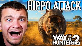 Attacked by Hippos in Way of the Hunter 2!