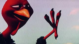 Free Birds2013 Meet Reggie